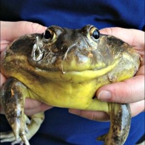 Meet your Posher, Jay